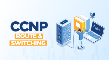 CCNP Route & Switching Eğitimi